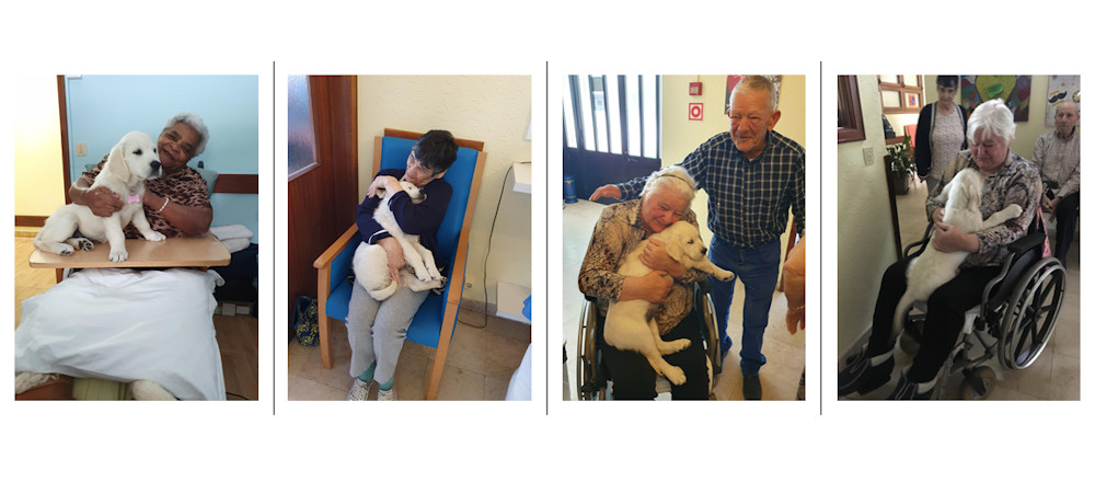 historia-da-lua-complexo-social-marinel